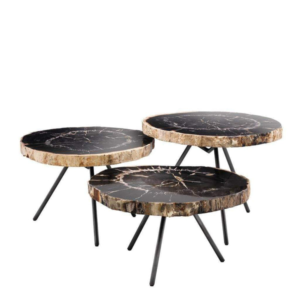 KARL Black Petrified Wood Coffee Table