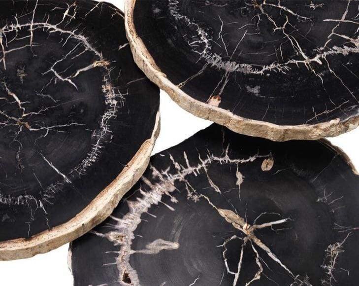 KARL Black Petrified Wood Coffee Table